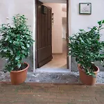 Sotto Le Torri Bed & Breakfast Albenga