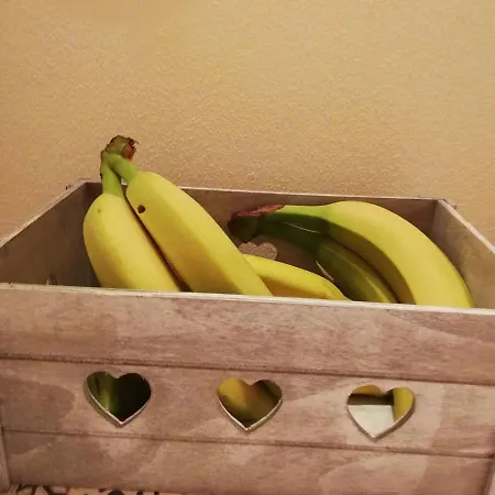 Bed and Breakfast Sotto Le Torri