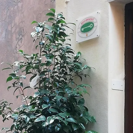 Sotto Le Torri