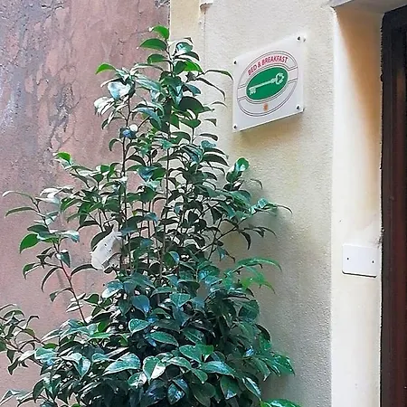 Sotto Le Torri